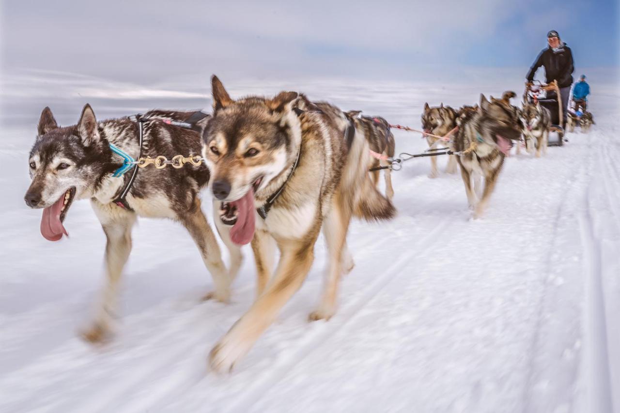 Harriniva Adventure Resort Muonio Eksteriør bilde