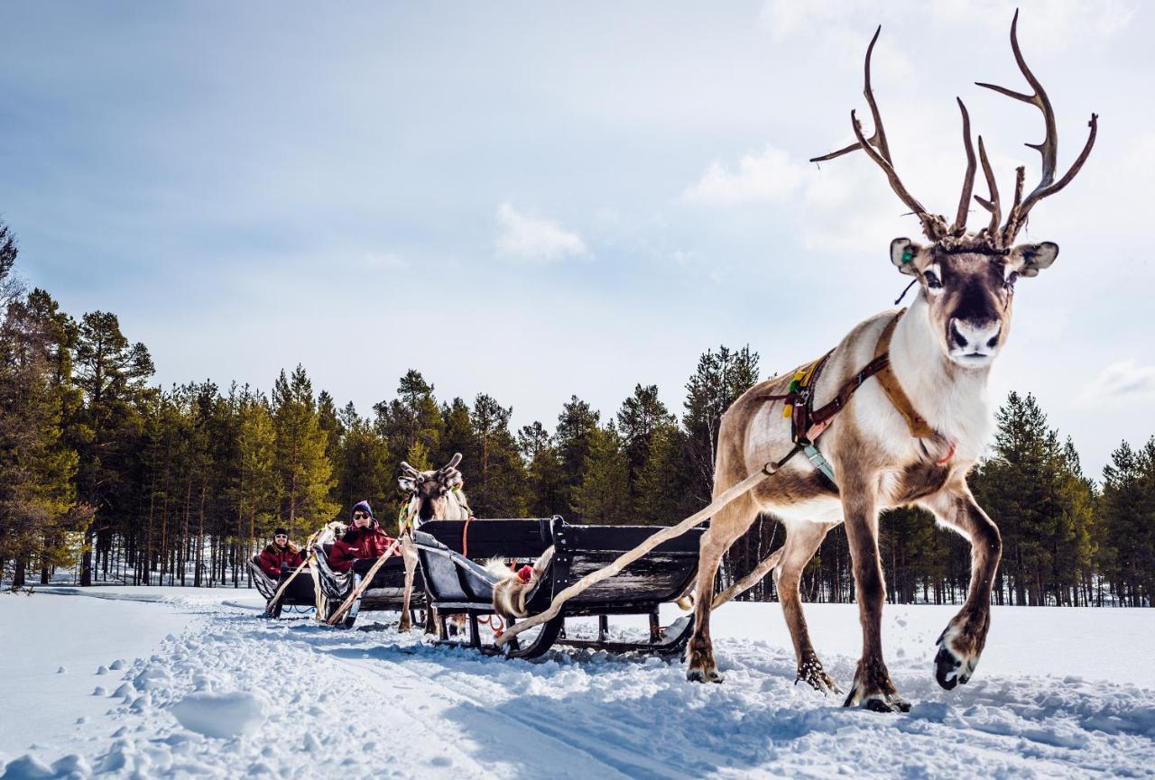 Harriniva Adventure Resort Muonio Eksteriør bilde