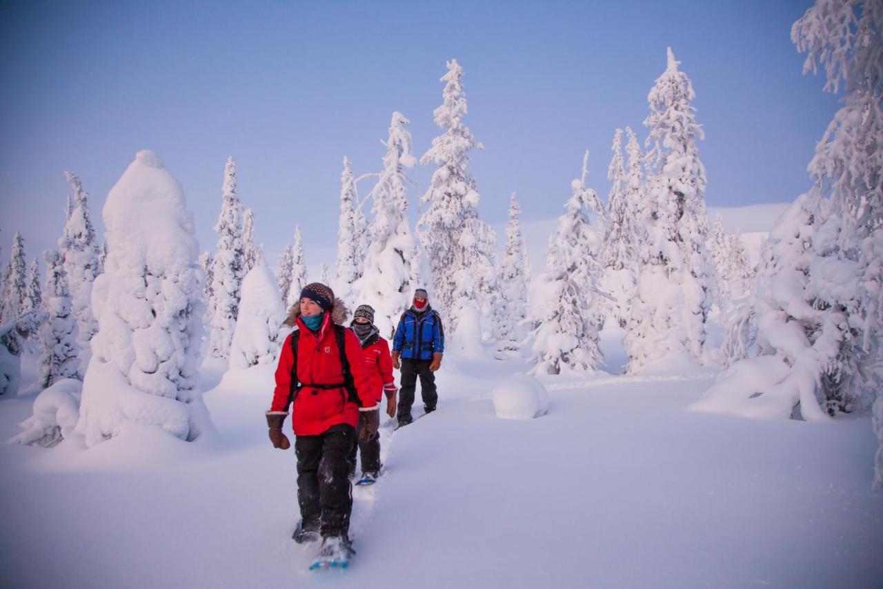 Harriniva Adventure Resort Muonio Eksteriør bilde