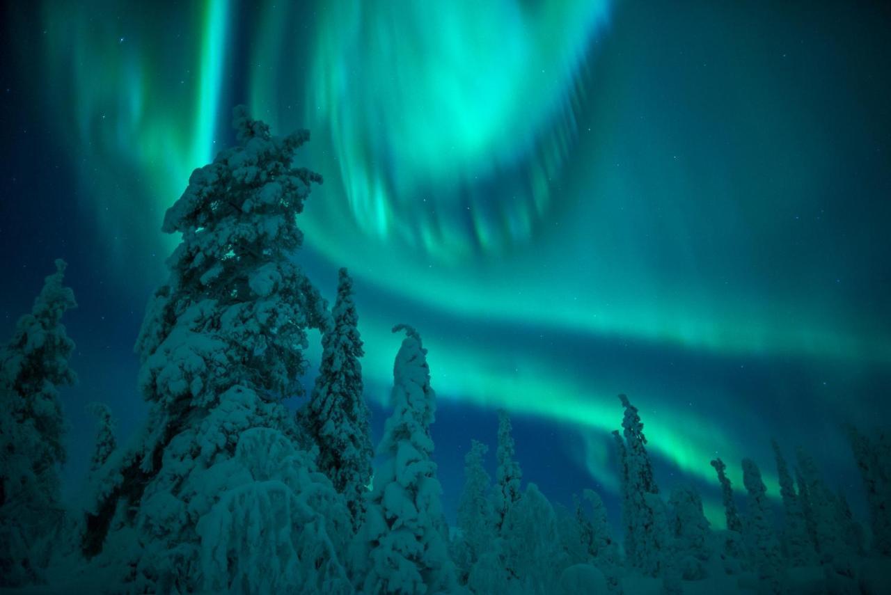 Harriniva Adventure Resort Muonio Eksteriør bilde