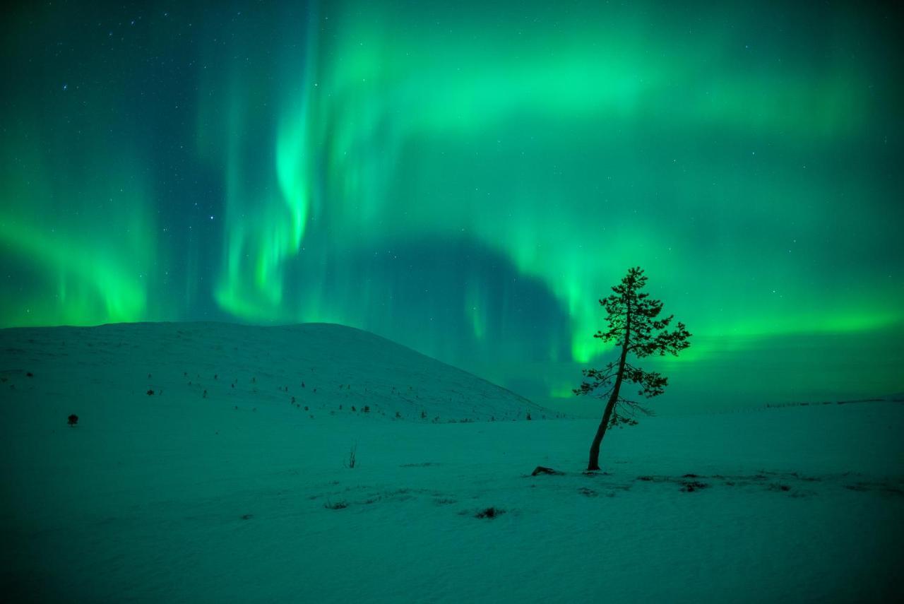 Harriniva Adventure Resort Muonio Eksteriør bilde